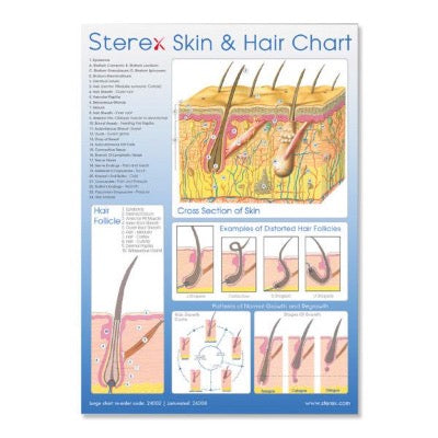 Chart Skin & Hair A2 Laminated